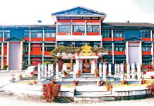 त्रिविको उपकुलपति नियुक्तिको विज्ञापन रद्द
