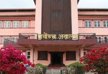 ठेक्का पट्टा लिएको बाहेक अन्य स्थानीय तहमा उम्मेदवार हुन पाउने