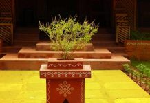 हरिबोधिनी एकादशी : तुलसी दामोदरको विवाह गरी मनाइँदै