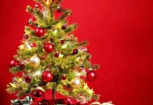 क्रिश्चियन धर्मावलम्बीले ‘क्रिसमस डे’ मनाउँदै