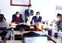 सिमानाकामा हुने आवागमन नियन्त्रण गर्न सरकारलाई निर्देशन
