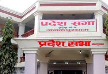 प्रदेश २ राजधानी र नामका लागि पुनः मतदान हुने