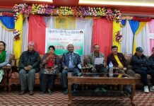 एकलाख राशीको राष्ट्रिय संगीतकार पुरस्कार दीपक जंगमलाई