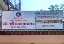 कृषिगणनाका लागी हेटौंडामा प्रदेश स्तरिय कार्यालय स्थापना