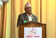 स्थानीय निर्वाचन प्रभावित पार्न संसद छलेर २३ सय योजनामा बजेट छरेः ढुंगेल
