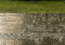 मतदानकाे दिन आउँदो शुक्रवार पनि पानी पर्ने सम्भावना