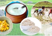 आज असार १५ : धान दिवस तथा दहीचिउरा खाएर मनाइँदै