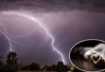 सर्लाहीमा चट्याङ लागेर एक जनाकाे मृत्यु