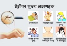 भदौ र असोजमा डेङ्गु सङ्क्रमण उच्च हुने