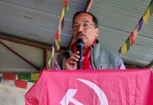 मुलुकमा विदेशी दबाब र प्रभावलाइ रोक्न राष्ट्रवादी सरकार बन्नु पर्छ–कमल थापा