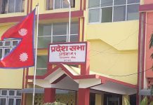 प्रदेश-१ मा सरकार विस्तार : माओवादीका दुई र एमालेका एक मन्त्री थपिए