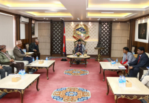 विमान दुर्घटनाकाे शाेकमा भाेलि सार्वजनिक बिदा दिने सरकारकाे निर्णय