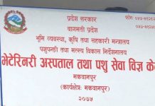 भेटेरेनरी अस्पताल मकवानपुरका कर्मचारीले चार महिनादेखि तलब पाएनन्