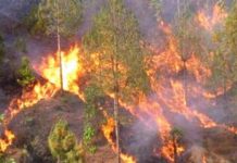 देशका १५० ठाउँमा डढेलो, अझै फैलिने सम्भावना