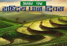 धान दिवसको नारा, ‘जलवायु अनुकूलित कृषकमैत्री प्रविधि, धान उत्पादनमा वृद्धि’