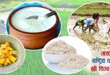 आज असार १५,राष्ट्रिय धान दिवस,दही च्यूरा खाँदै रोपाइँ गरिँदै