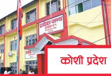 कोशी प्रदेशसभाको विशेष अधिवेशनः संकल्प प्रस्ताव पेश