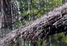 शुक्रवारदेखि फेरि पानी पर्ने सम्भावना