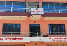 मनहरी गाउँपालिकाको पूँजीगत खर्च करीब ३३ प्रतिशत