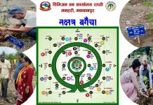 मकवानपुरमा २७ प्रजातिका बिरुवा रोपेर नक्षत्र बाटिका स्थापना