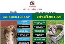 सर्पदंशबाट बच्न स्वास्थ्य मन्त्रालयकाे आग्रह, सर्पले टोकिहाले के गर्ने ?