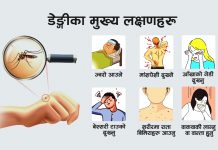 नेपालमा सेरोटाइप-२ स्वरुपको डेङ्गु अत्यधिक