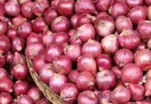 भारतमा प्याजको निर्यात मूल्य प्रतिटन ८०० अमेरिकी डलर कायम