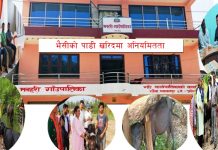 मनहरी गाउँपालिकामा भैसीकाे पाडी खरिदमा अनियमितता