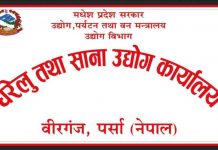 आर्थिक मन्दीले पर्साका १७७ उद्योग बन्द