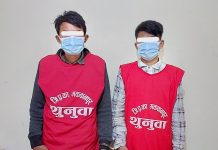 मकवानपुरमा कटुवा पेस्तोल सहित दुई जना पक्राउ
