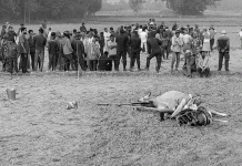 रौतहटमा बिजुलीको तार चुँडिएर खस्दा खेत जोतिरहेका किसान र गोरुको मृत्यु