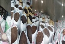 पालिकाको अनुदानले रैथाने बालिको उत्पादक्त्व बढ्यो
