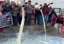 किसानद्वारा सडकमै दूध पोखेर आन्दोलन