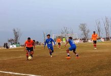 मकवानपुर गोल्डकपः उपाधिका लागि एपीएफ र एनआरटी भिड्ने