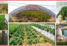 कृषि क्षेत्रको प्रवर्धन गर्न बकैयामा कृषि प्रदर्शनी केन्द्र