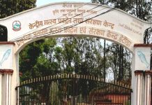 मत्स्य प्रर्वद्धन केन्द्र हेटौडामा माछाका भुराको माग बढ्दो