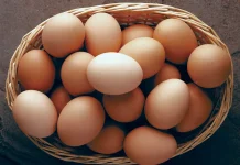 अण्डाको समर्थन मूल्य तोकियो