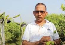 कागती खेतीबाट मनग्गे आम्दानी गर्दै मनहरीका किसान आर्याल