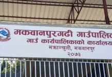 मकवानपुरगढीको वित्तीय प्रगति ४० प्रतिशत