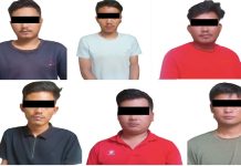 १३ वटा सहकारी चोरीको आरोपमा मकवानपुरका ६ जना पक्राउ
