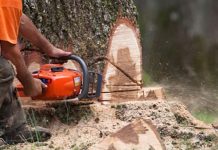 रौतहटमा बढ्यो काठ चोरी-तस्करी