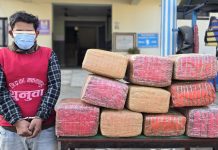 हेटौंडाबाट १११ किलो लागुऔषध गाँजासहित एक जनालाई पक्राउ