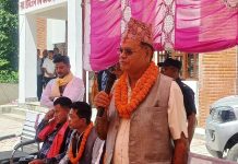 वनलाई उत्पादन र रोजगारीसंग जोड्नुपर्छ: मन्त्री केसी